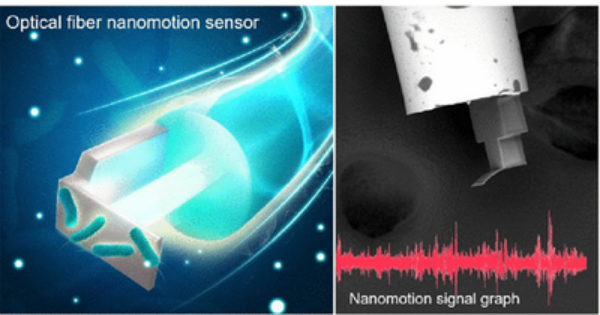 Professor Liao Changrui and Professor Wang Yiping from the College of Physics and Optoelectronic Engineering at Shenzhen University publish groundbreaking research as the cover article in the Nano Letters journal