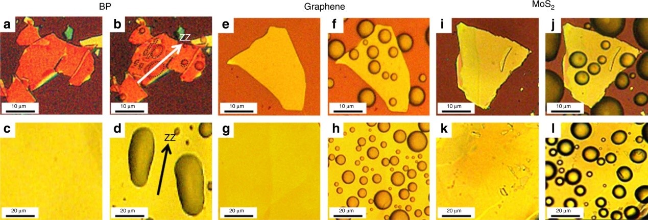 Paper on two-dimensional materials published in Nature Communications by Professor Fan Dianyuan, Professor Zhang Wei, and their research group 