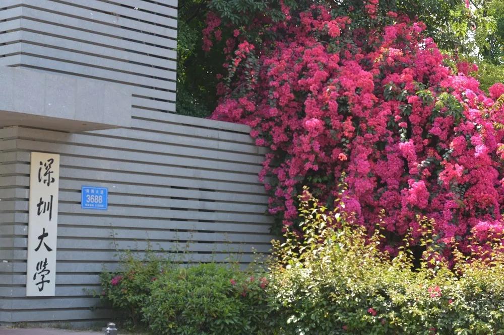 SZU adds three new undergraduate majors in 2020: Financial Technology, Robotic Engineering, and Preschool Education