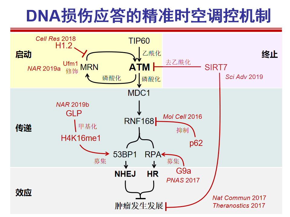 Fourteen achievements of our university won the 2022 Shenzhen Science and Technology Award